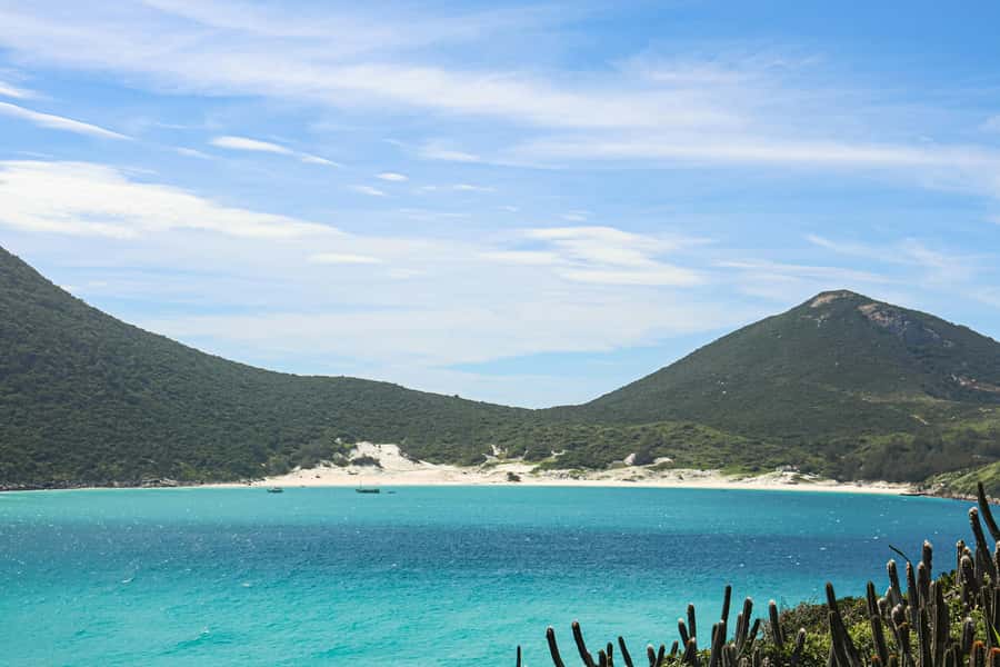 Rio: Best Dive Experience All Inclusive Scuba Diving Package - Logistics That Can Affect Your Day: Wind, Boats, and Timing