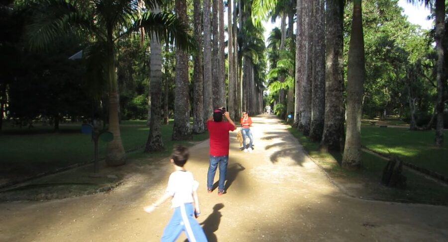 Rio: Botanical Garden, Tijuca Forest, and Parque Lage Tour - Price and What Makes $104 Feel Reasonable