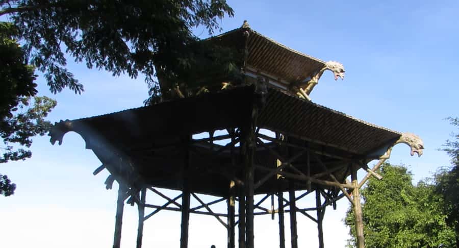 Rio: Botanical Garden, Tijuca Forest, and Parque Lage Tour - What to Bring for Tijuca Humidity and Garden Shade