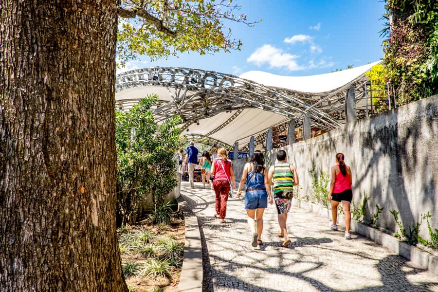 Rio: Christ the Redeemer Early Access and Sugarloaf - Key Things To Know Before You Go