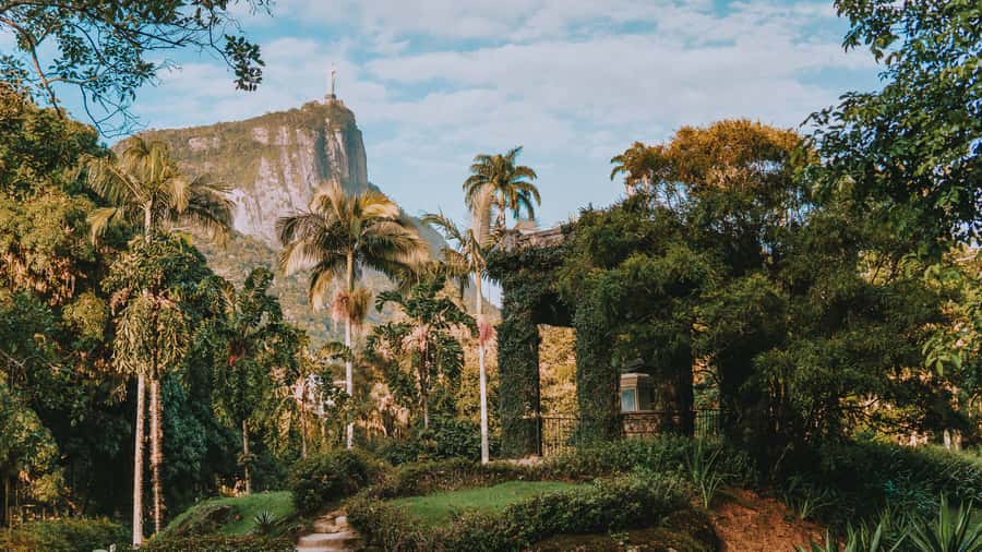 Rio de Janeiro: 4-Hour Botanical Garden & Tijuca Forest Tour - Key highlights you will actually feel