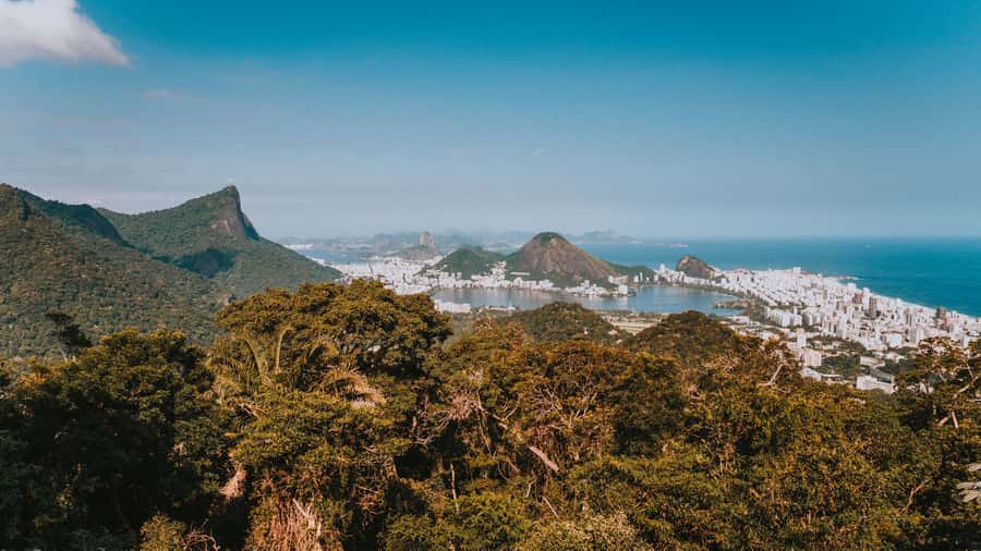 Rio de Janeiro: 4-Hour Botanical Garden & Tijuca Forest Tour - How much is $51 worth for what you get?