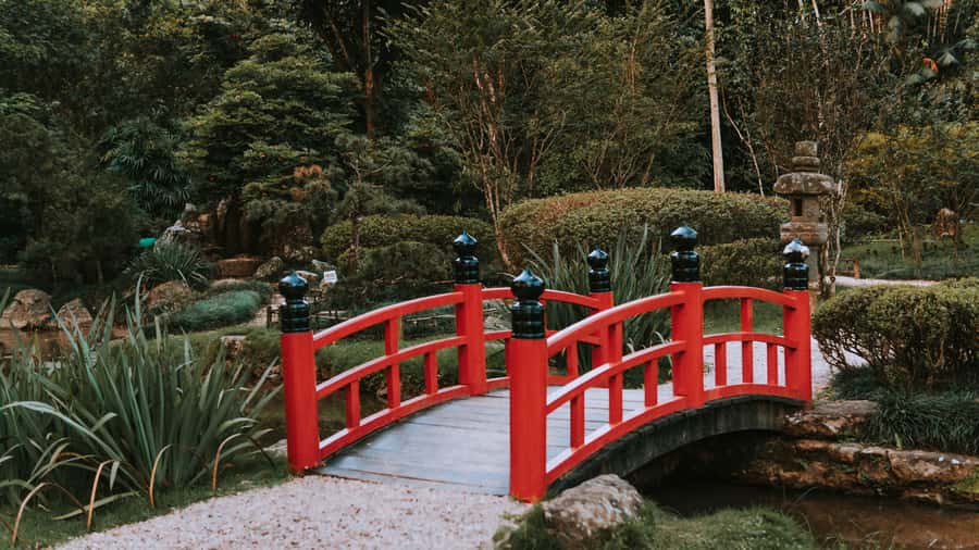 Rio de Janeiro: 4-Hour Botanical Garden & Tijuca Forest Tour - What to bring and how to dress for a half-day in Rio’s greens