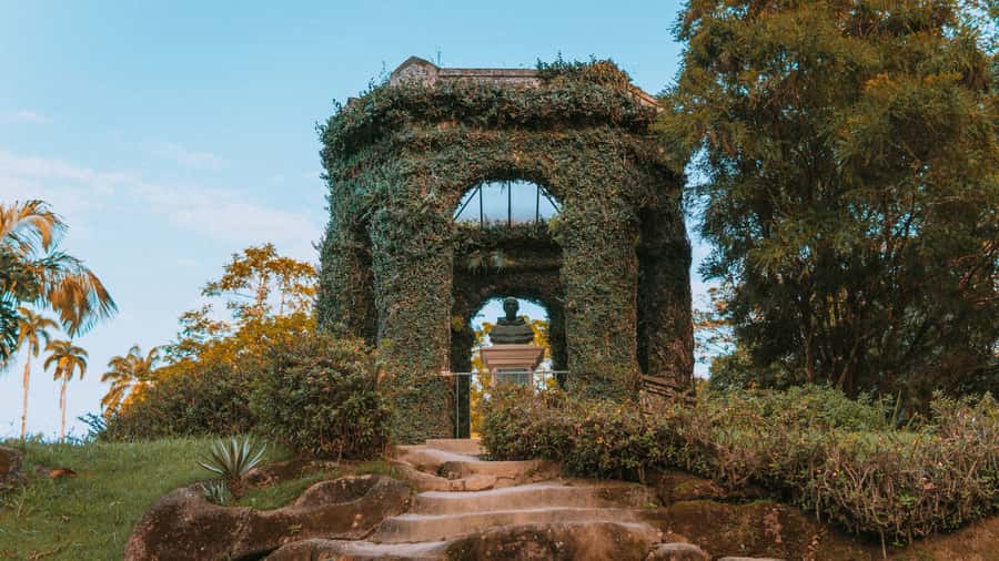 Rio de Janeiro: 4-Hour Botanical Garden & Tijuca Forest Tour - Jardim Botânico Rio de Janeiro: themed gardens that feel designed for real people