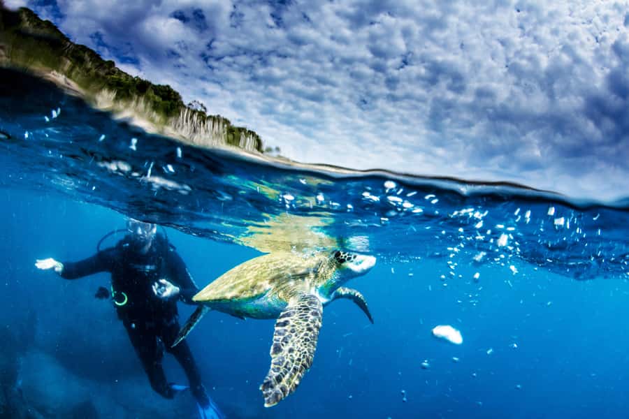 Rio de Janeiro: Arraial do Cabo Scuba Diving Day Trip - Price and value: what $255 really buys you, plus the extras