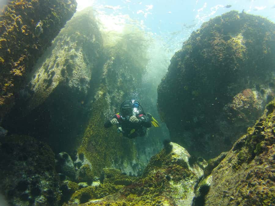 Rio de Janeiro: Arraial do Cabo Scuba Diving Day Trip - Scuba setup is handled for you: gear, wetsuit, and tank count
