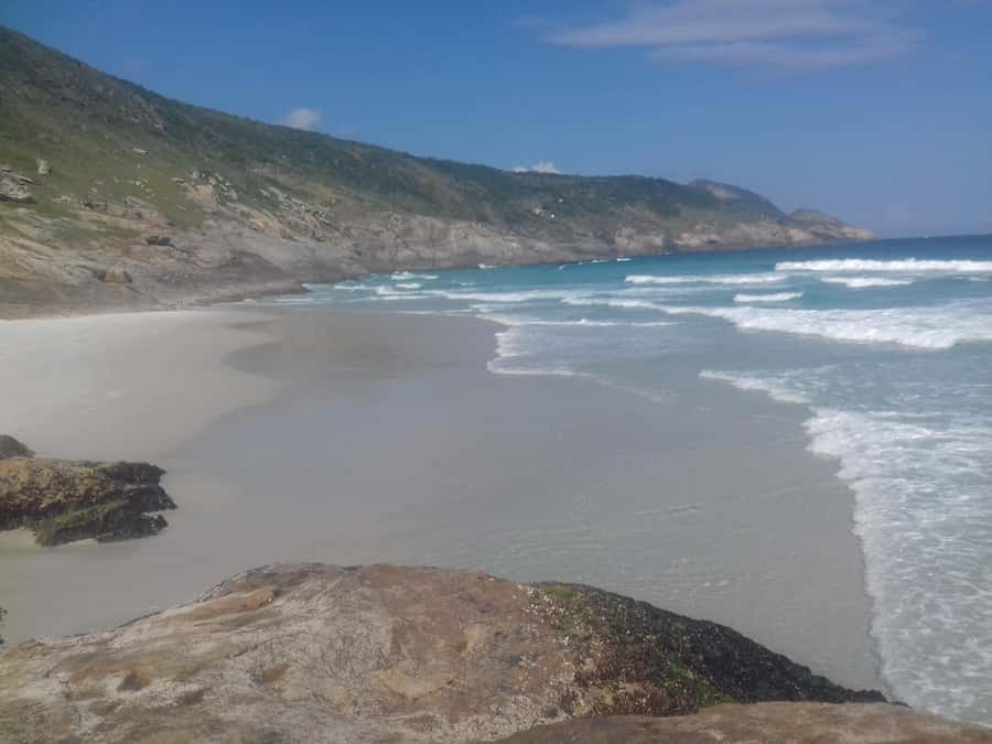 Rio de Janeiro: Arraial do Cabo Scuba Diving Day Trip - Marine life you might actually see in the Atlantic