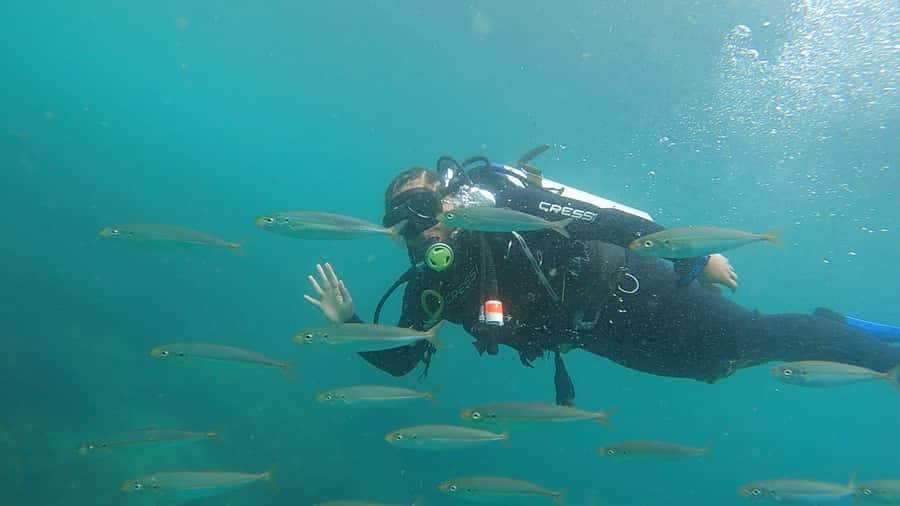 Rio de Janeiro: Arraial do Cabo Scuba Diving Day Trip - Small-group logistics, timing, and seasickness reality