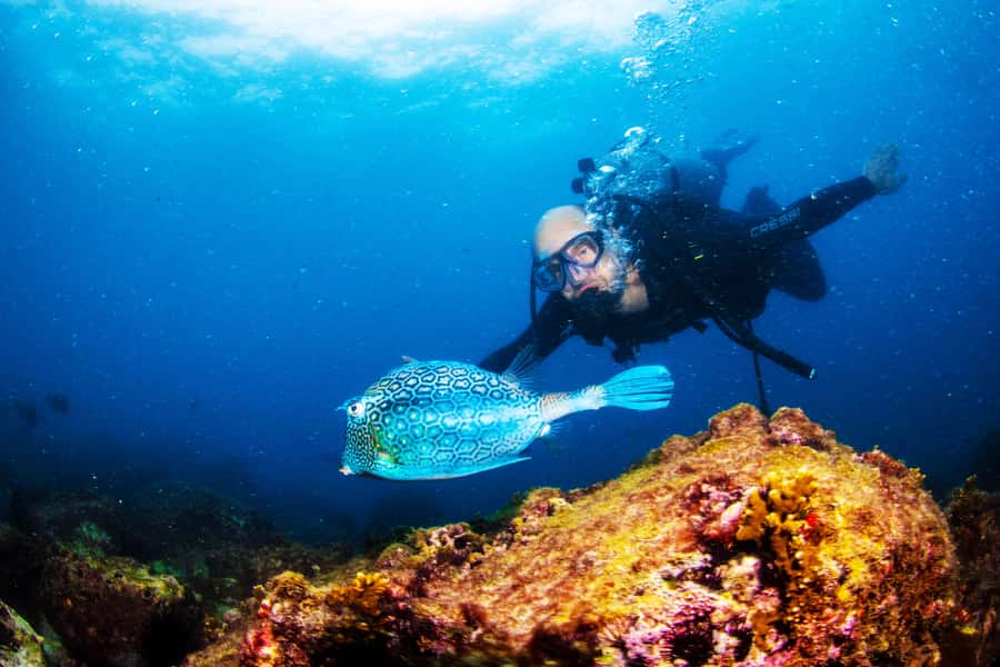 Rio de Janeiro: Arraial do Cabo Scuba Diving Day Trip - The 10-hour plan: pickups in Rio, then the 2.5-hour coast run