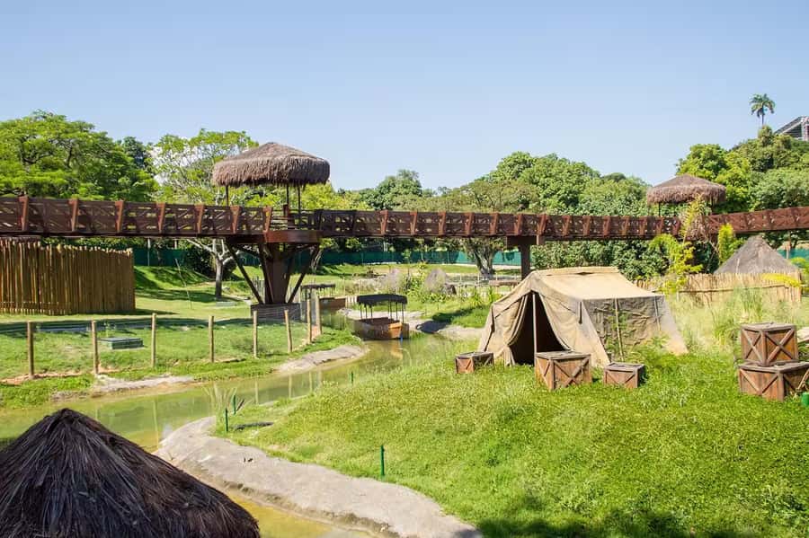 Rio de Janeiro: BioParque Guided Tour with Transfer - What Makes BioParque Different From a Typical Zoo Visit