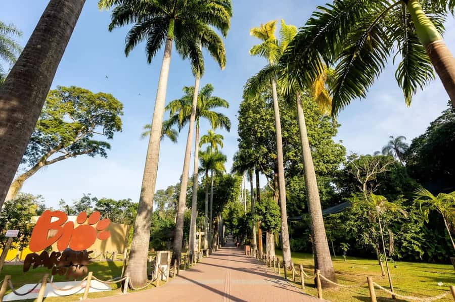 Rio de Janeiro: BioParque Guided Tour with Transfer - Who This Tour Fits Best
