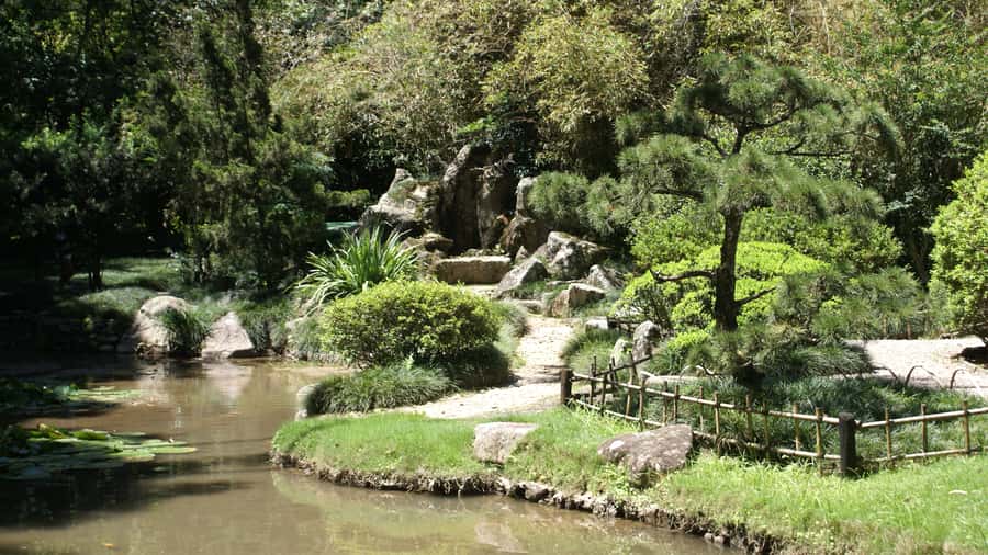 Rio de Janeiro: Botanical Garden Guided Visit - What to wear and how to pace a 4-hour garden visit