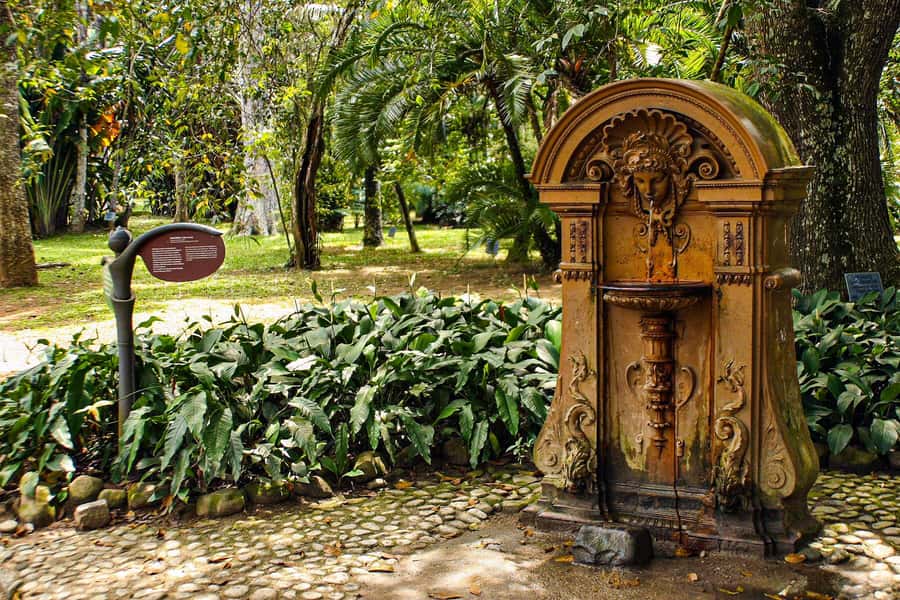 Rio de Janeiro: Botanical Garden Guided Visit - From your hotel to the foot of Corcovado