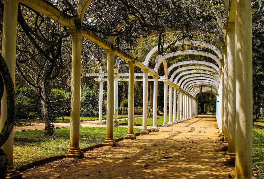 Rio de Janeiro: Botanical Garden Guided Visit - Fountain of the Muses and the old gunpowder factory stop
