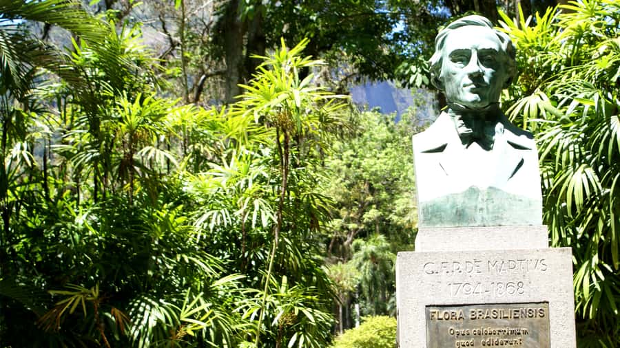 Rio de Janeiro: Botanical Garden Guided Visit - Price and what you really get for $83