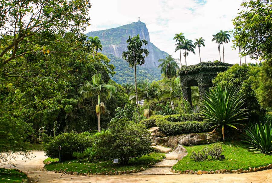 Rio de Janeiro: Botanical Garden Guided Visit - A garden founded in 1808, built for plants and research