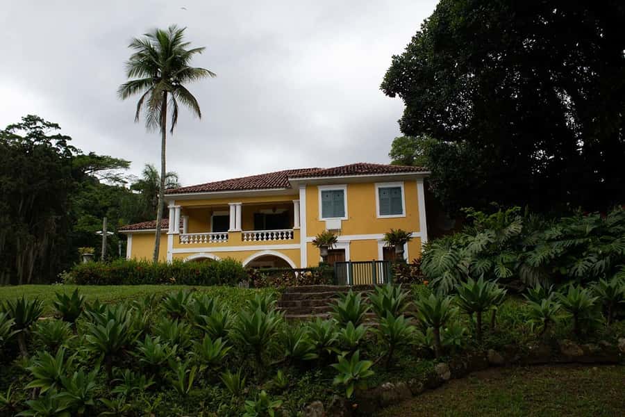 Rio de Janeiro: Botanical Garden & Tijuca Forest Guided Tour - The real timing truth: a 4-hour tour means smart stops, not long hikes