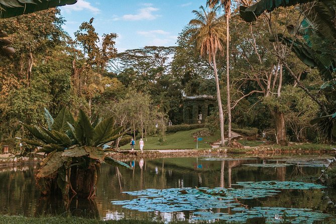 Rio de Janeiro Botanical Garden & Tijuca Forest Tour - Pickup in Copacabana to Leblon, then straight into the green