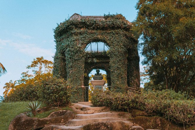 Rio de Janeiro Botanical Garden & Tijuca Forest Tour - Tijuca National Park: where the city peeks through the trees
