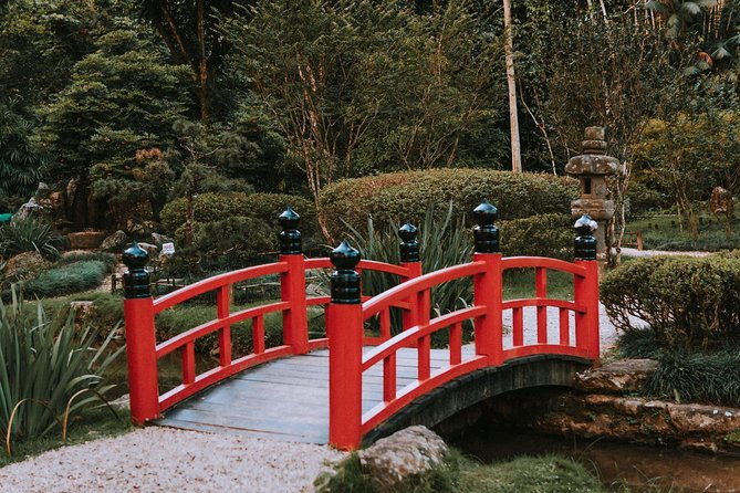 Rio de Janeiro Botanical Garden & Tijuca Forest Tour - Price and ticket options: where the real value is, and where confusion can happen