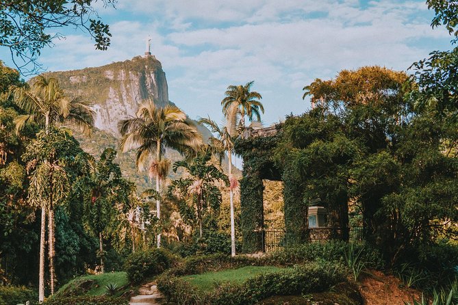 Rio de Janeiro Botanical Garden & Tijuca Forest Tour - Stop 1: Botanical Garden of Rio, a smart one-hour overview