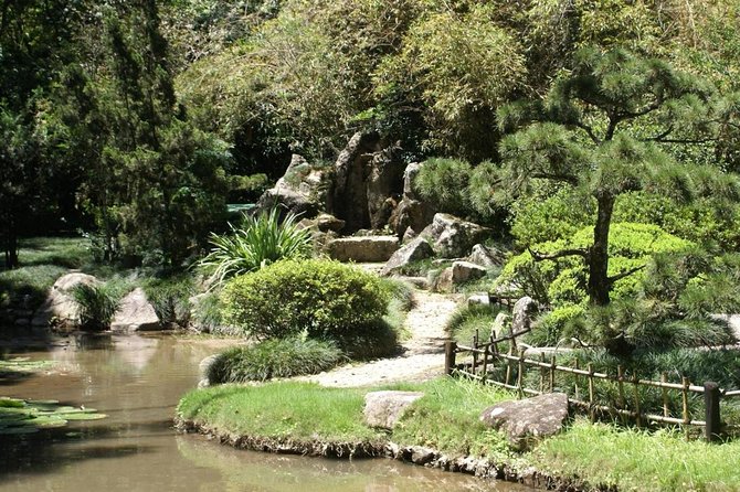 Rio de Janeiro Botanical Garden Tour - Highlights You Should Actually Care About