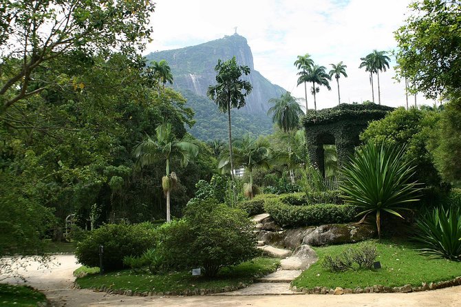 Rio de Janeiro Botanical Garden Tour - Why This Botanical Garden Tour Works in Rio
