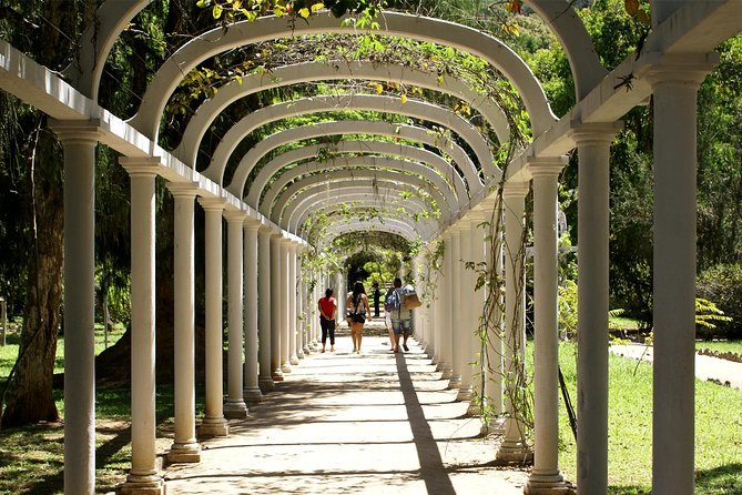 Rio de Janeiro Botanical Garden Tour - After the Guide: How to Use Your Free Time (Without Running Around)
