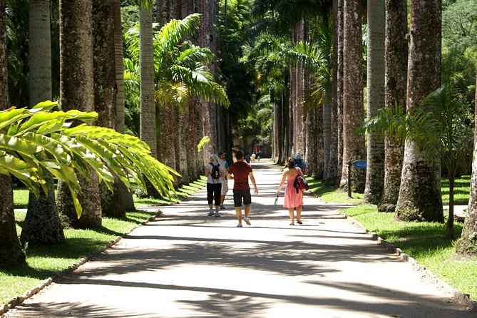 Rio de Janeiro Botanical Garden Tour - What You’ll See Inside the UNESCO Biosphere Reserve