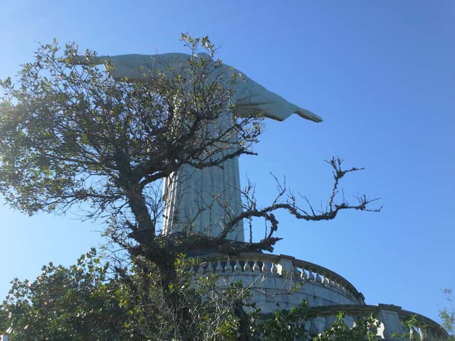 Rio de Janeiro: Christ Redeemer, Selaron steps & Sugarloaf - Who This Tour Fits Best
