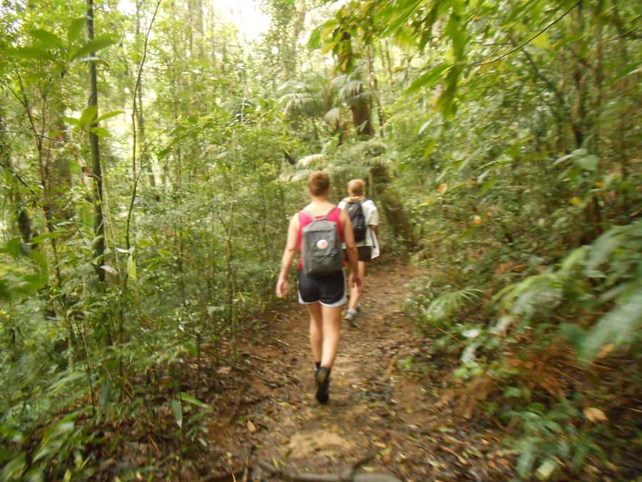 Rio de Janeiro: Christ the Redeemer Guided Hike - Pace, footing, and why the guide name matters