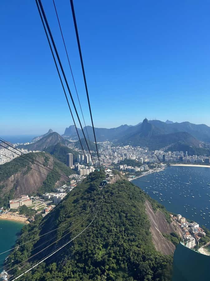 Rio de Janeiro: Christ the Redeemer, Sugarloaf, & City-tour - Start With Hotel Pickup, Then Tijuca National Park To Set the Scene