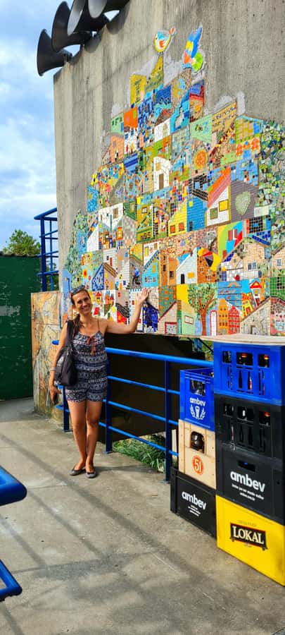 Rio de Janeiro: Favela Santa Marta Tour with Resident Guide - Walking Santa Marta: photo stops, the Favela Scene visit, and what you’re really seeing