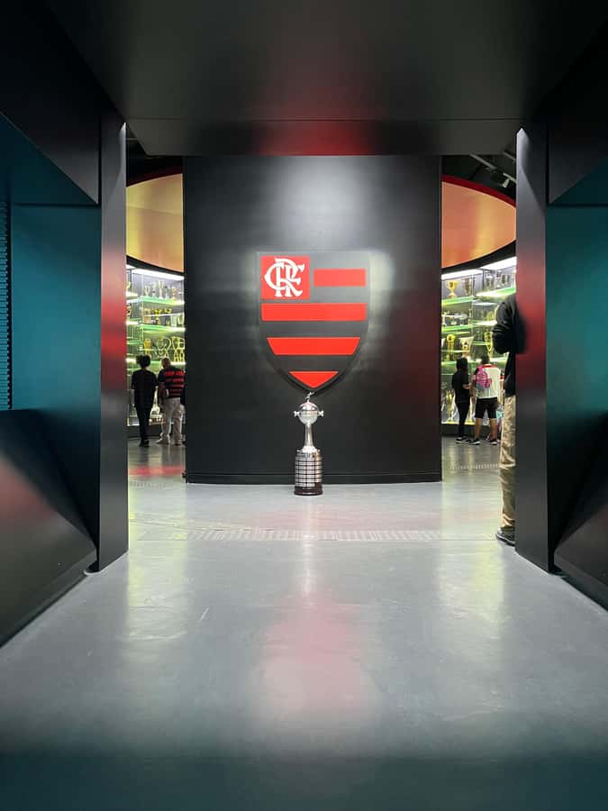 Rio de Janeiro: Flamengo Museum Ticket Entrance - Flamengo Museum in Gávea: what this visit really feels like