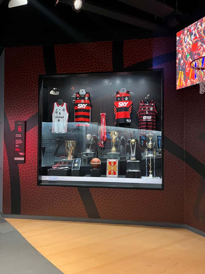 Rio de Janeiro: Flamengo Museum Ticket Entrance - 14 themed sections with tech and emotion: how the museum tells the story