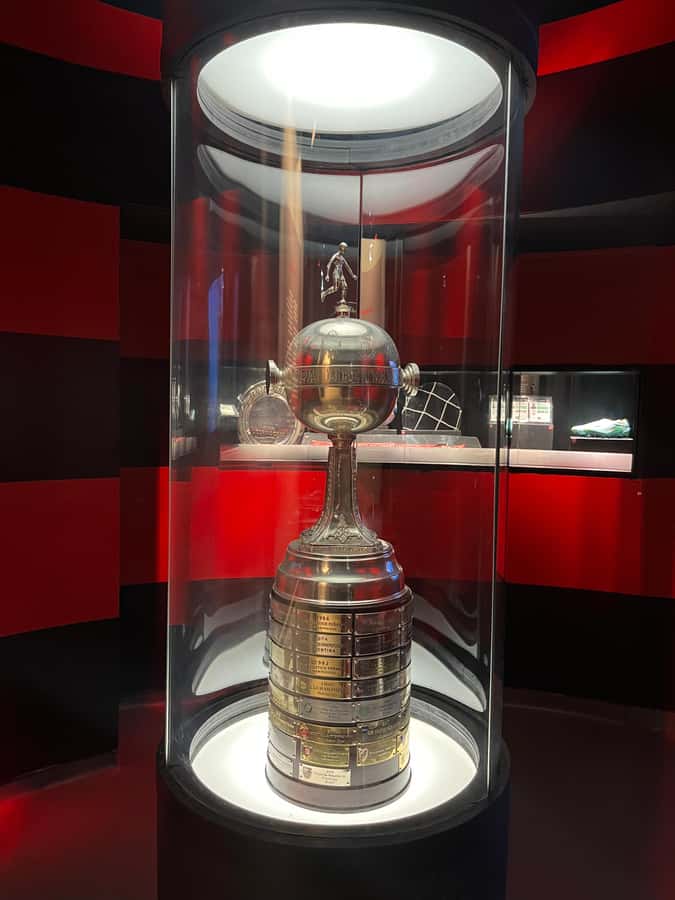 Rio de Janeiro: Flamengo Museum Ticket Entrance - What you might not get: no food, no Gávea tour