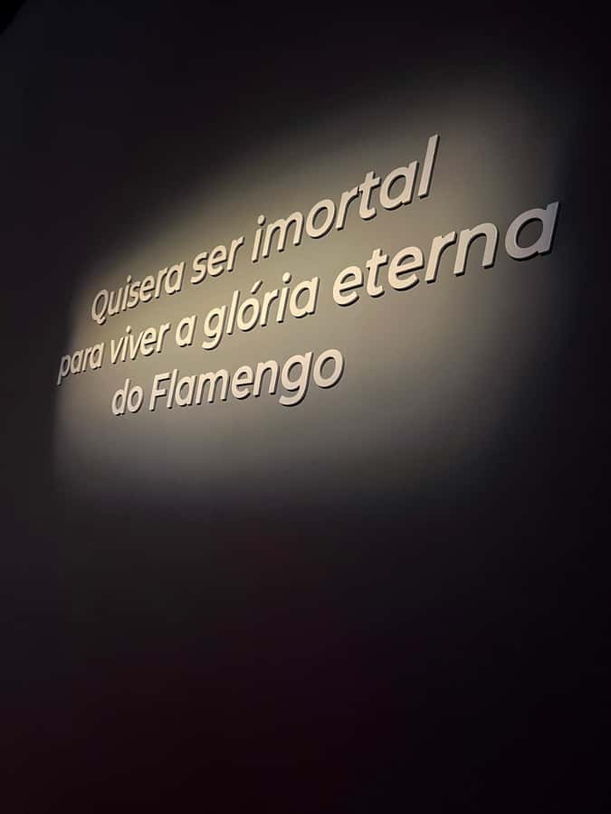 Rio de Janeiro: Flamengo Museum Ticket Entrance - Arriving at the headquarters: getting oriented fast