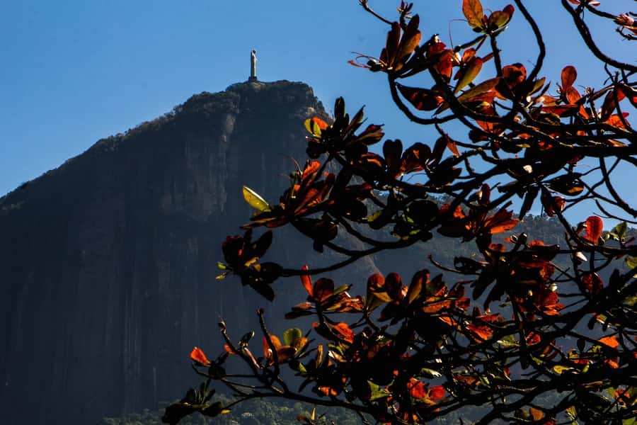 Rio de Janeiro: Guided Bike Tours in Small Groups - Choosing your route: 3 hours, 4 hours, or the full 7 with lunch