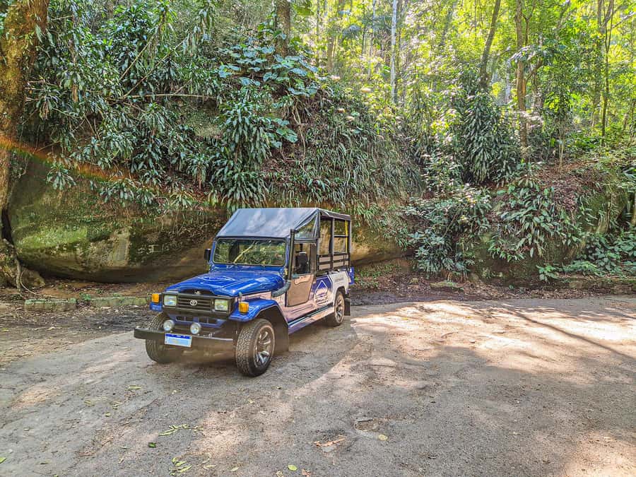 Rio de Janeiro: Guided Jeep Tour through Tijuca Rainforest - Should You Book This Tijuca Rainforest Jeep Tour?