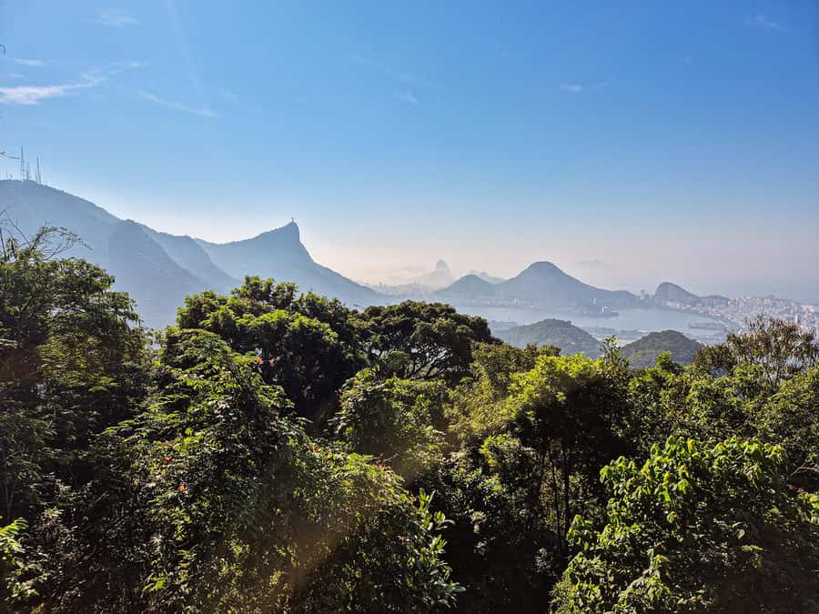 Rio de Janeiro: Guided Jeep Tour through Tijuca Rainforest - Timing, Weather, and What You Can Count On in 4 Hours