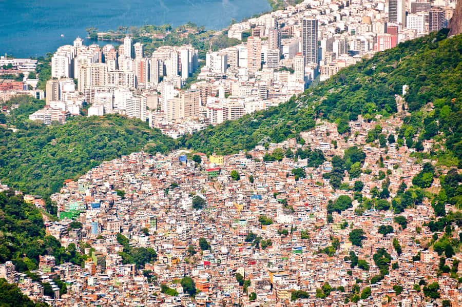 Rio De Janeiro: Half-Day Rocinha Favela Walking Tour - Meeting at Belmond Copacabana Palace at 13:25, and Why That Matters