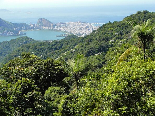 Rio de Janeiro Hang Gliding Experience - Key Things To Know Before You Go