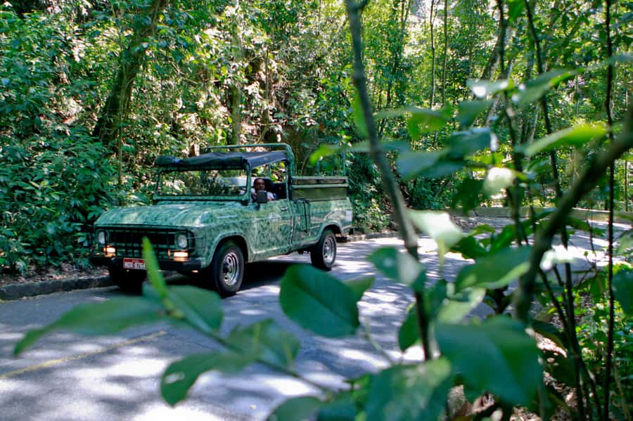 Rio de Janeiro: Jeep Tour in the Tijuca Forest - Key highlights worth planning for