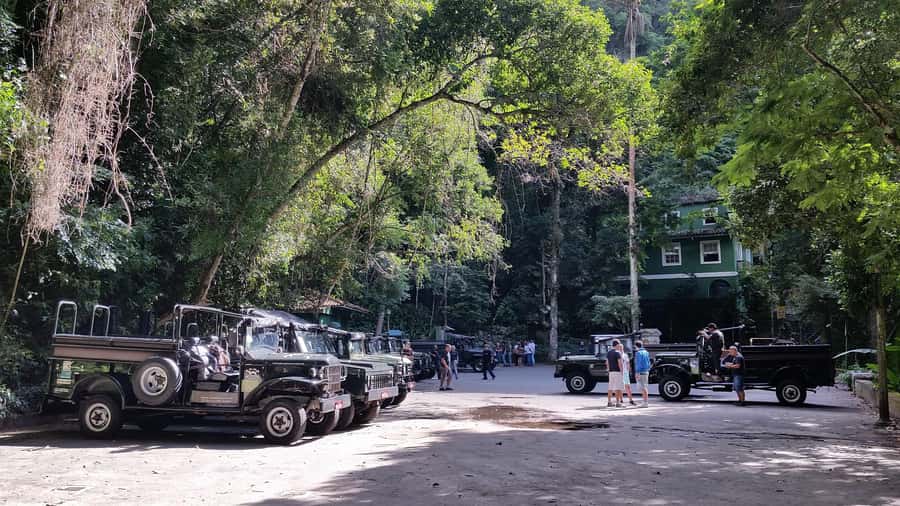 Rio de Janeiro: Jeep Tour in the Tijuca Forest - Open-top jeep comfort: great views, real-world road conditions