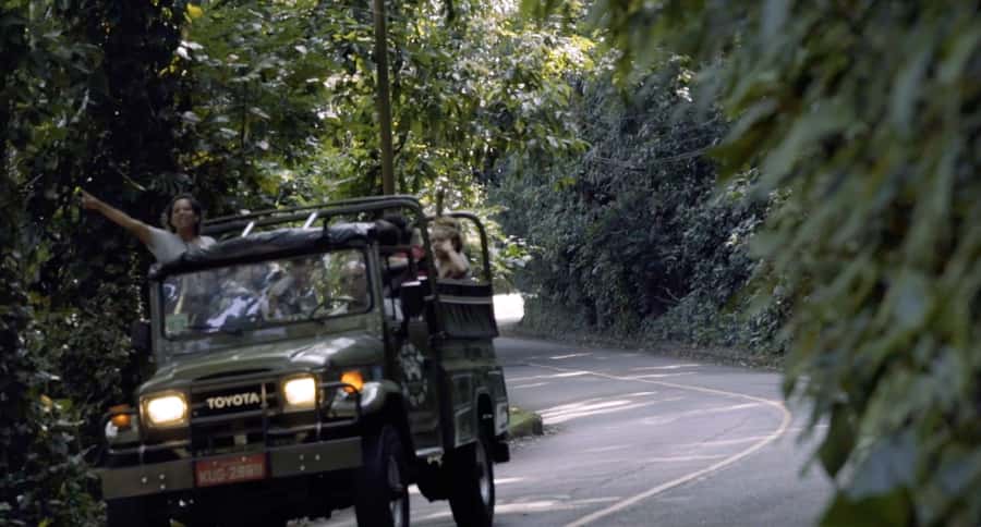 Rio de Janeiro: Jeep Tour in the Tijuca Forest - Timing and pickup: how to keep the 4-hour tour feeling easy
