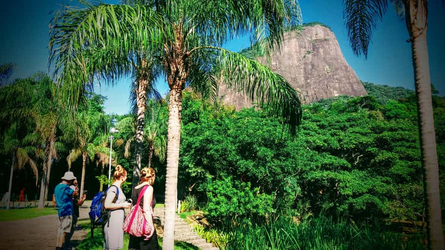 Rio de Janeiro Nature Secrets 'The Eco Citytour' - Key highlights worth planning around