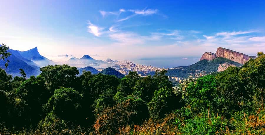 Rio de Janeiro Nature Secrets 'The Eco Citytour' - Stop 1 at Dois Irmãos Park: Leblon and Ipanema from the first viewpoint