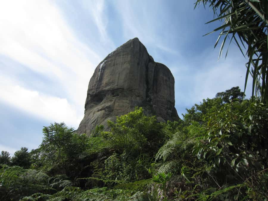 Rio de Janeiro: Pedra da Gavea Adventure Hike - Guides, small groups, and that patient extra attention