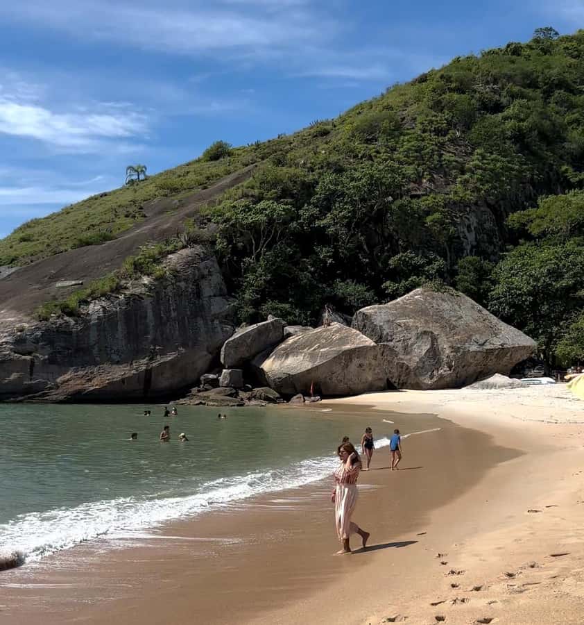 Rio de Janeiro: Pedra do Telégrafo trail and beach stop - Who This Tour Fits Best (and Who Might Skip It)