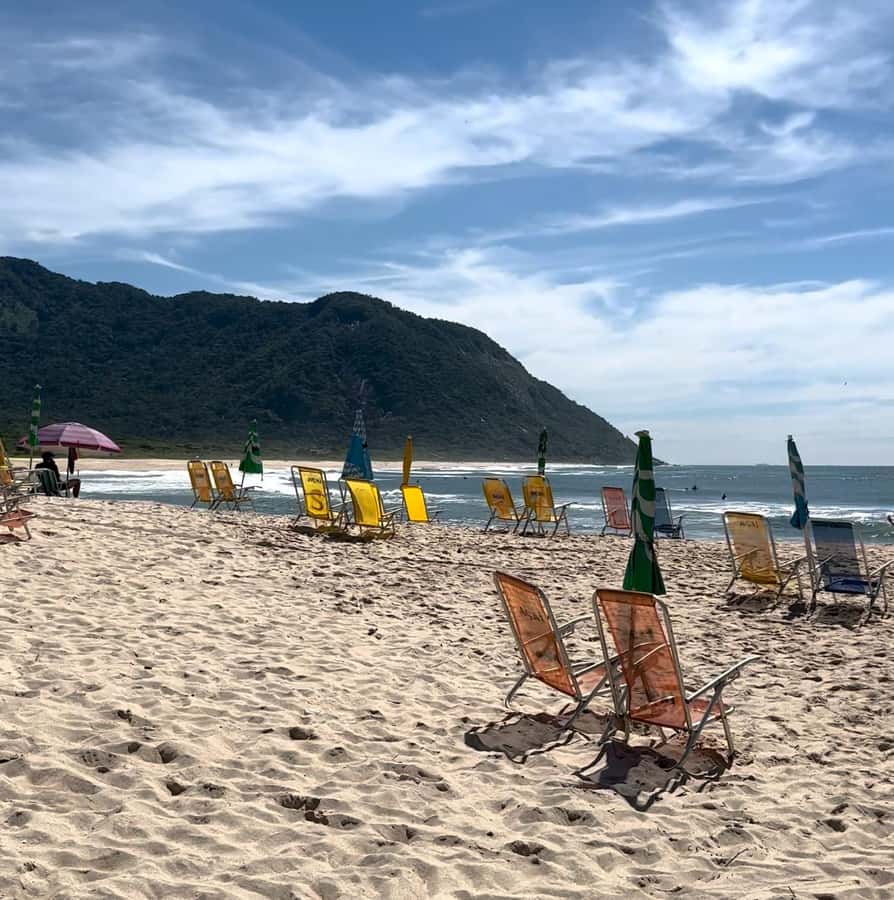 Rio de Janeiro: Pedra do Telégrafo trail and beach stop - The Forest Trail and the 2 Km Walk Up: Pace, Footing, and Timing